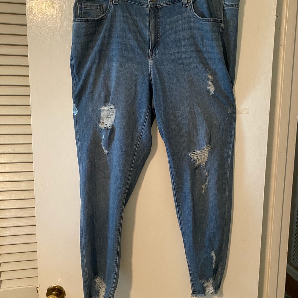 LANE BRYANT JEANS